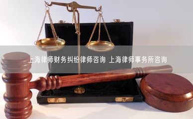 上海财务纠纷律师咨询与专业律师事务所指南